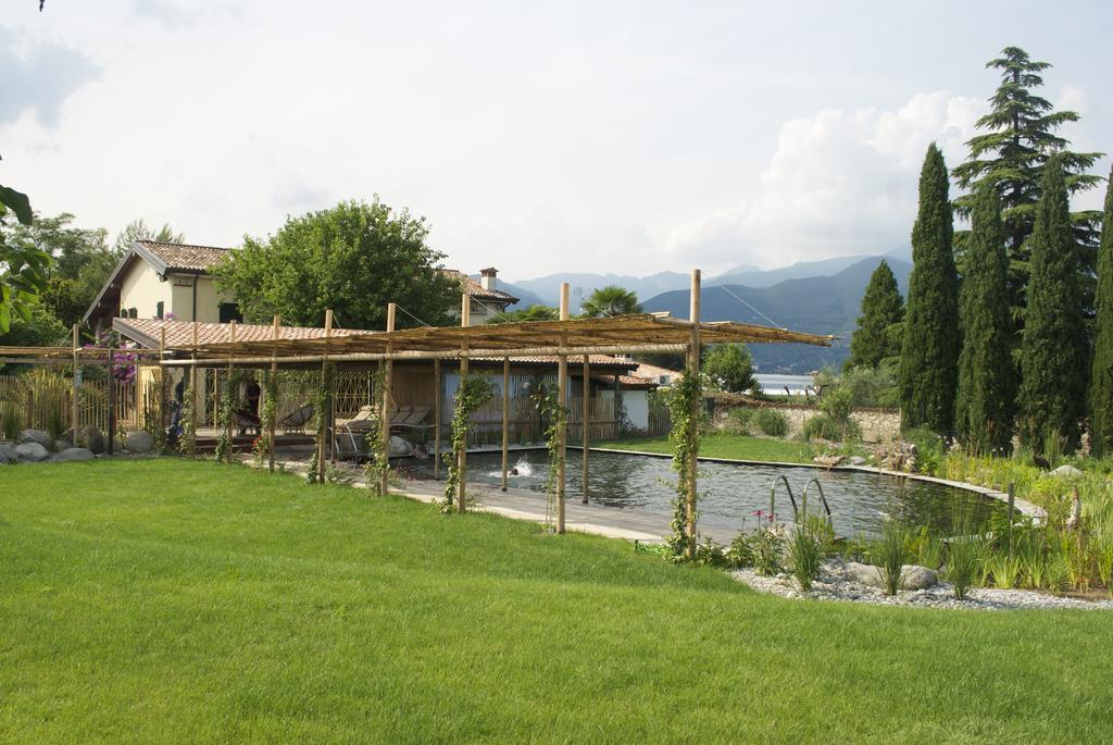 Pensjonat Agriturismo La Breda San Felice del Benaco Zewnętrze zdjęcie