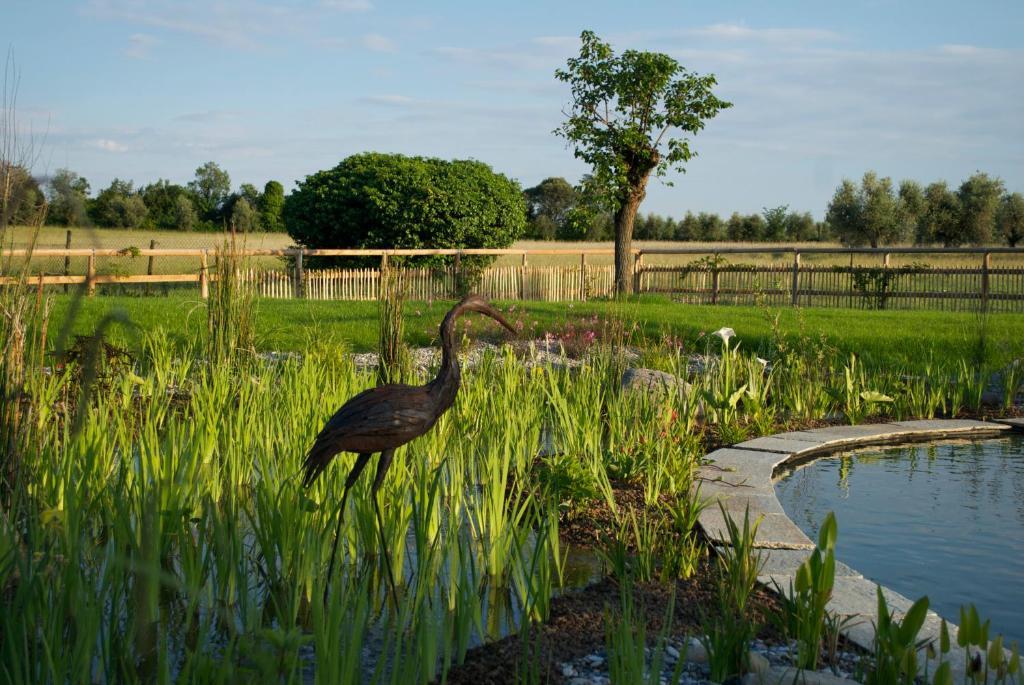 Pensjonat Agriturismo La Breda San Felice del Benaco Zewnętrze zdjęcie