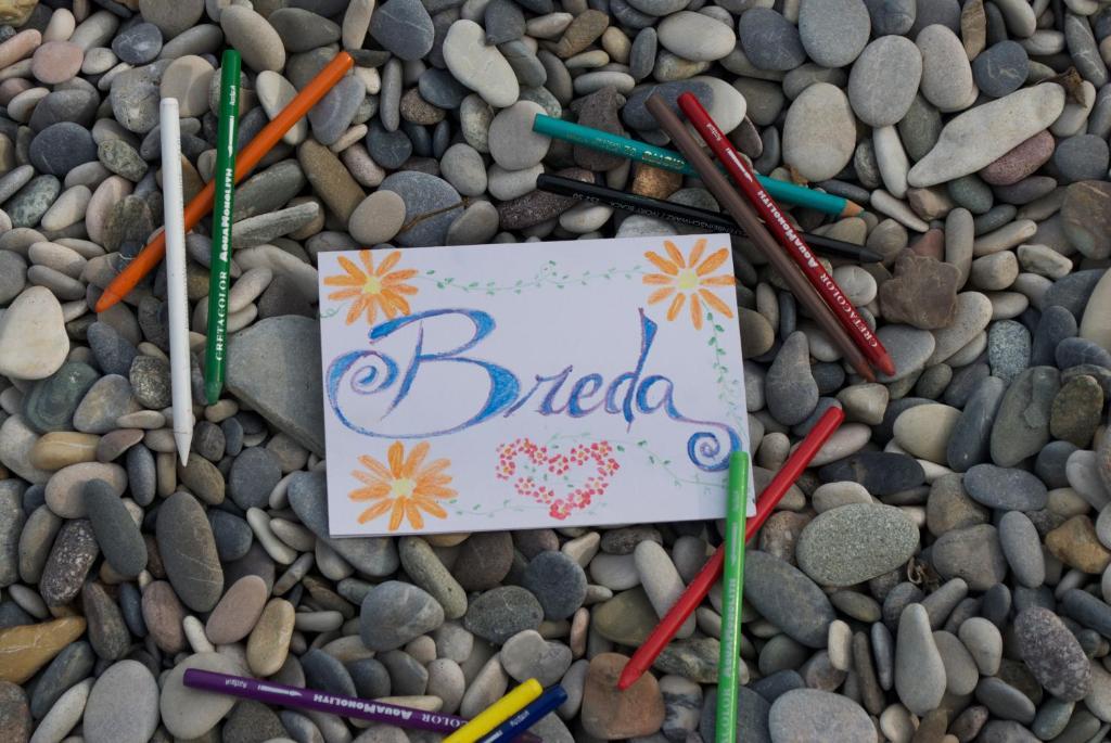 Pensjonat Agriturismo La Breda San Felice del Benaco Zewnętrze zdjęcie