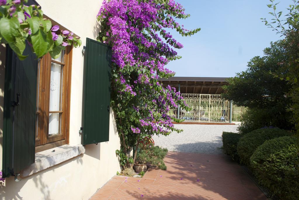 Pensjonat Agriturismo La Breda San Felice del Benaco Zewnętrze zdjęcie